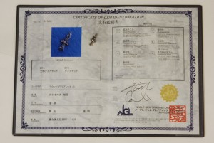 ダイヤモンドを証明する宝石鑑別書です。